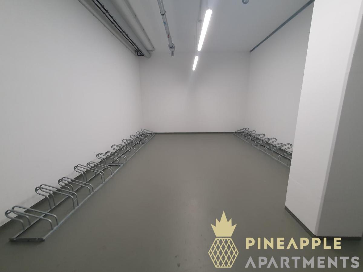 Pineapple Apartments Dresden Altstadt I - 117 Qm - 1X Free Parking エクステリア 写真